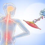 understanding-multiple-sclerosis-early-signs-and-treatments