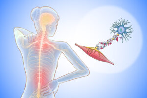 understanding-multiple-sclerosis-early-signs-and-treatments