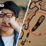 urgent-alert-eyelash-mites-found-on-90-of-adults-act-now-