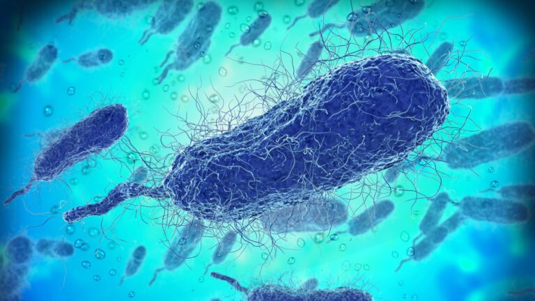 urgent-alert-flesh-eating-bacteria-claims-four-lives-in-florida