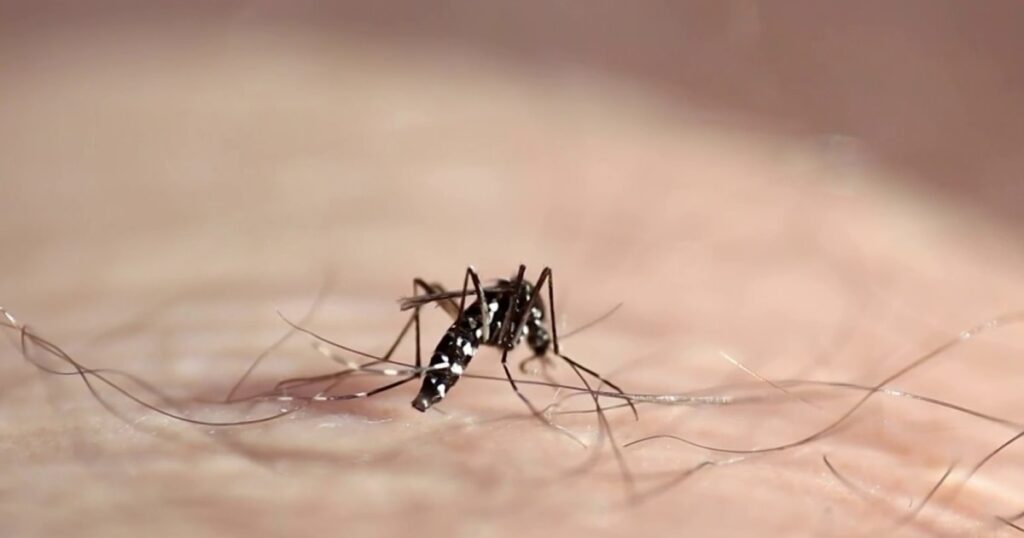 urgent-colorado-man-hospitalized-with-severe-west-nile-virus
