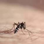urgent-colorado-man-hospitalized-with-severe-west-nile-virus