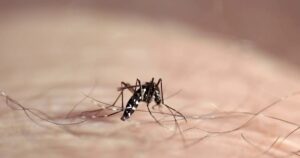 urgent-colorado-man-hospitalized-with-severe-west-nile-virus