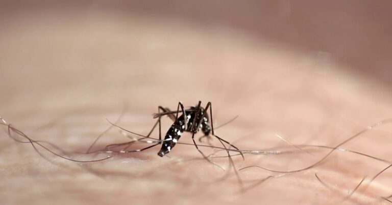 urgent-colorado-man-hospitalized-with-severe-west-nile-virus