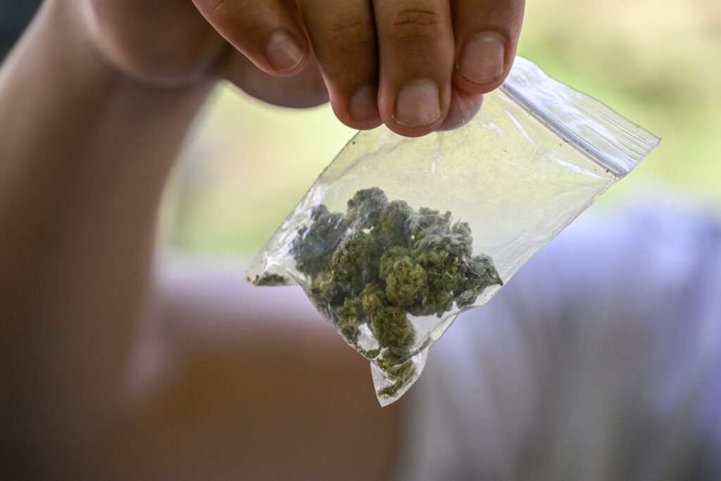 urgent-study-reveals-marijuana-doubles-heart-attack-risk