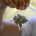 urgent-study-reveals-marijuana-doubles-heart-attack-risk