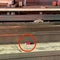 urgent-update-nyc-bomb-plot-unveiled-williamsburg-bridge-targeted