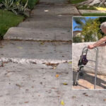 85-year-old-woman-s-sidewalk-repairs-finally-on-track-after-8-years