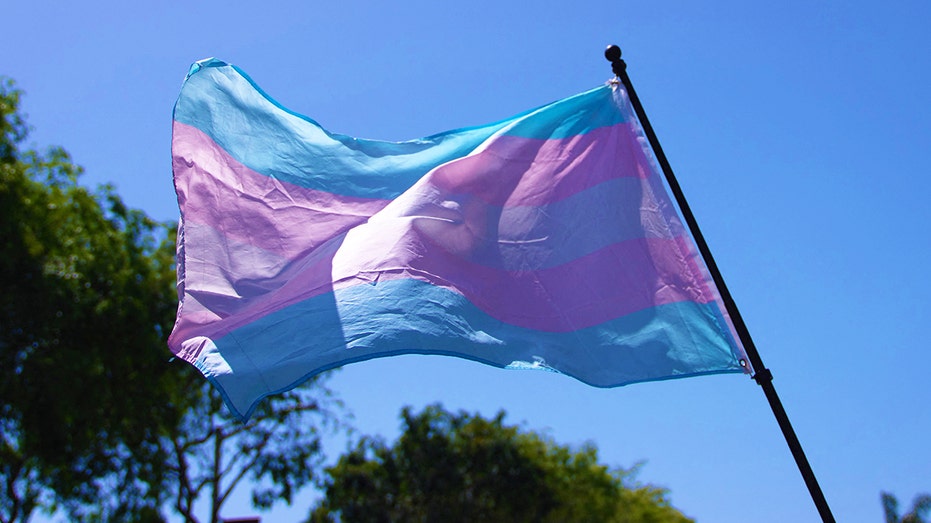 appeals-court-upholds-arkansas-ban-on-gender-transition-care-for-minors