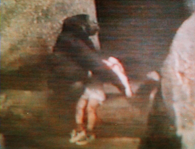 binti-jua-the-gorilla-saves-boy-in-brookfield-zoo-incident