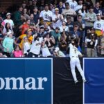 bogaerts-home-run-overturned-by-fan-interference-manager-ejected
