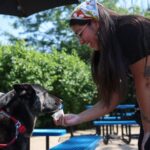 chicago-s-best-dog-friendly-patios-revealed-for-summer-2025-