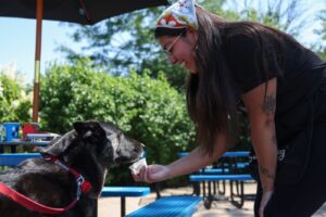 chicago-s-best-dog-friendly-patios-revealed-for-summer-2025-