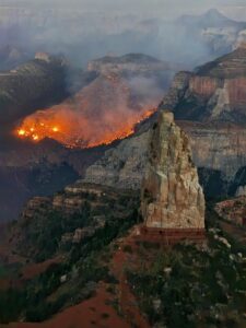 controlled-burn-in-grand-canyon-turns-into-major-wildfire
