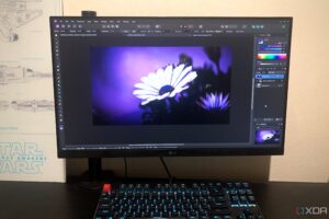 creative-tools-surge-as-users-ditch-ai-features-for-authenticity