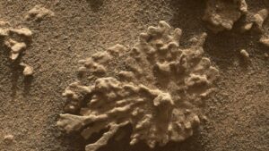 curiosity-rover-marks-13-years-on-mars-with-new-discoveries-and-efficiency