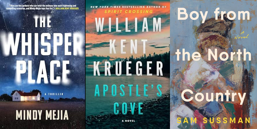 discover-exciting-new-reads-from-minnesota-authors-this-fall