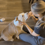 dog-at-pacc-learns-he-s-a-dad-while-waiting-for-home