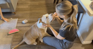 dog-at-pacc-learns-he-s-a-dad-while-waiting-for-home