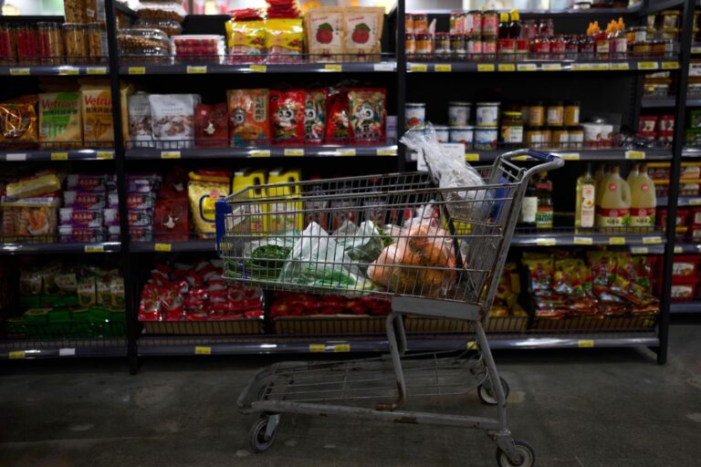 elgin-approves-1-grocery-tax-to-fund-lead-line-replacement