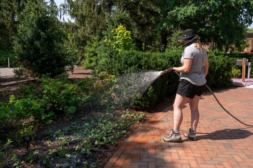 gardeners-urged-to-plant-now-summer-planting-vital-for-success