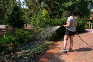 gardeners-urged-to-plant-now-summer-planting-vital-for-success