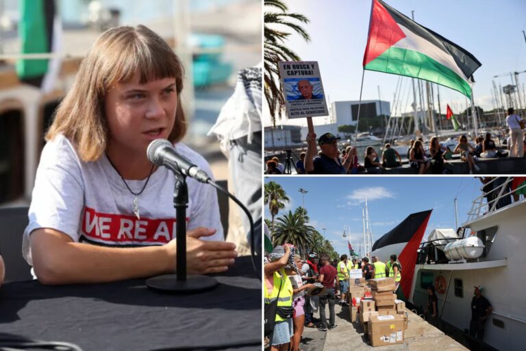 greta-thunberg-joins-aid-flotilla-to-gaza-defying-naval-blockade