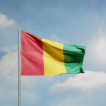guinea-suspends-major-opposition-parties-ahead-of-referendum