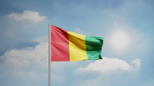 guinea-suspends-major-opposition-parties-ahead-of-referendum