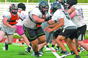 humboldt-cubs-gear-up-for-jamboree-with-new-talent
