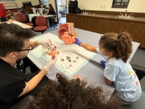 hundreds-attend-usd-s-largest-steam-youth-conference-ever