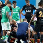 james-maddison-suffers-injury-during-tottenham-s-pre-season-match