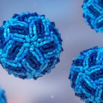 kansas-monitors-five-serious-cases-of-west-nile-virus