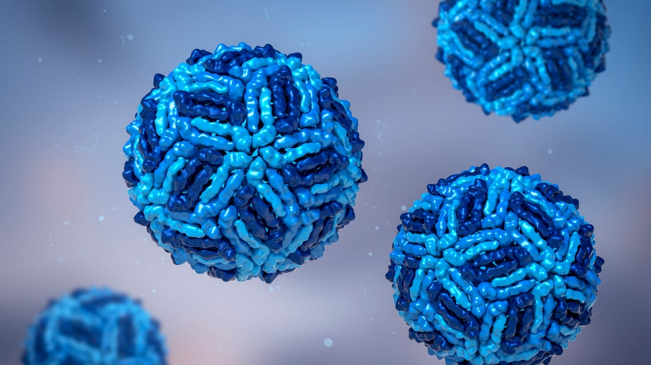 kansas-monitors-five-serious-cases-of-west-nile-virus
