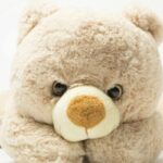 lancaster-stormers-teddy-bear-toss-aims-to-comfort-pediatric-patients