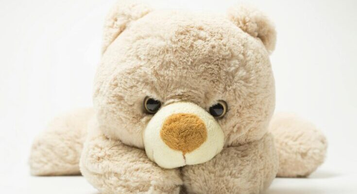 lancaster-stormers-teddy-bear-toss-aims-to-comfort-pediatric-patients