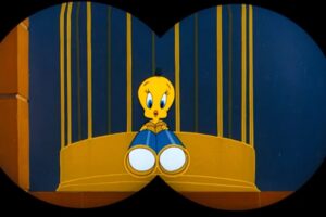 looney-tunes-find-new-streaming-home-on-tubi-after-hbo-max-loss