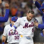 mets-stun-phillies-with-walk-off-win-narrow-division-gap