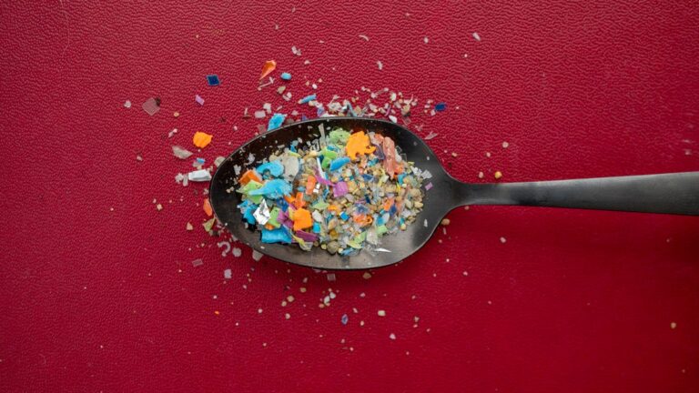 microplastics-found-in-your-kitchen-urgent-health-risks-revealed