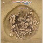 new-evidence-reveals-brutal-treatment-of-pows-in-neolithic-france