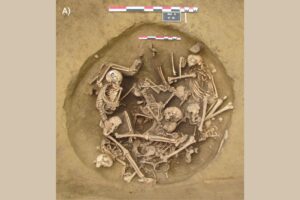 new-evidence-reveals-brutal-treatment-of-pows-in-neolithic-france