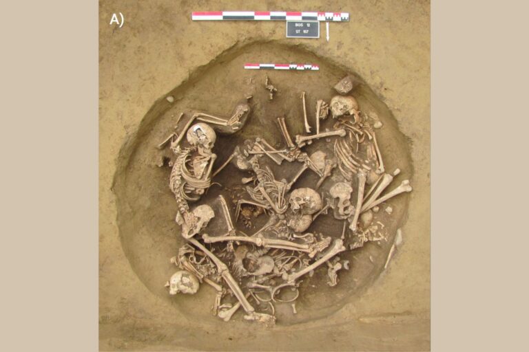 new-evidence-reveals-brutal-treatment-of-pows-in-neolithic-france