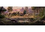 new-fossil-discoveries-illuminate-life-before-earth-s-great-dying