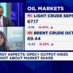 opec-s-strategic-shift-focus-on-policy-over-market-share