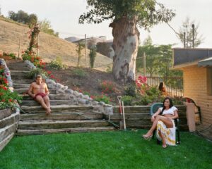 photographer-captures-suburban-homes-as-adult-film-sets