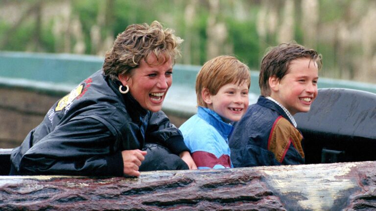 prince-william-and-harry-may-clash-over-diana-documentaries