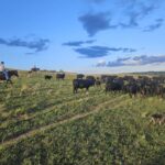 rancher-s-bull-chases-lead-to-unexpected-adventures