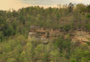 rescuers-save-two-women-from-hot-tub-emergency-in-kentucky