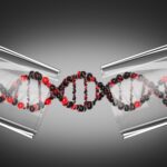 scientists-propel-evolution-forward-with-revolutionary-technique