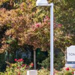 sonicwall-appoints-michael-crean-to-lead-new-security-services-division